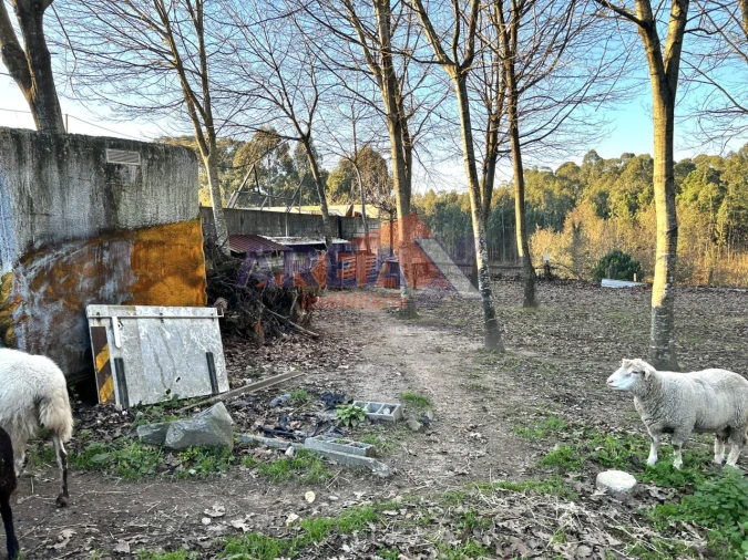 Terreno para Venda em O. Azeméis, Riba-Ul, Ul, Macinhata Seixa, Madail Foto 11