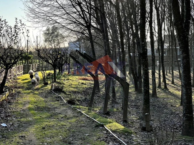 Terreno para Venda em O. Azeméis, Riba-Ul, Ul, Macinhata Seixa, Madail Foto 12