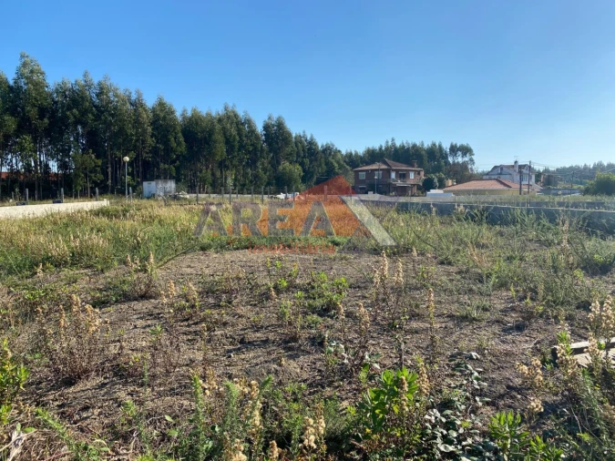 Terreno para Venda em O. Azeméis, Riba-Ul, Ul, Macinhata Seixa, Madail Foto 1