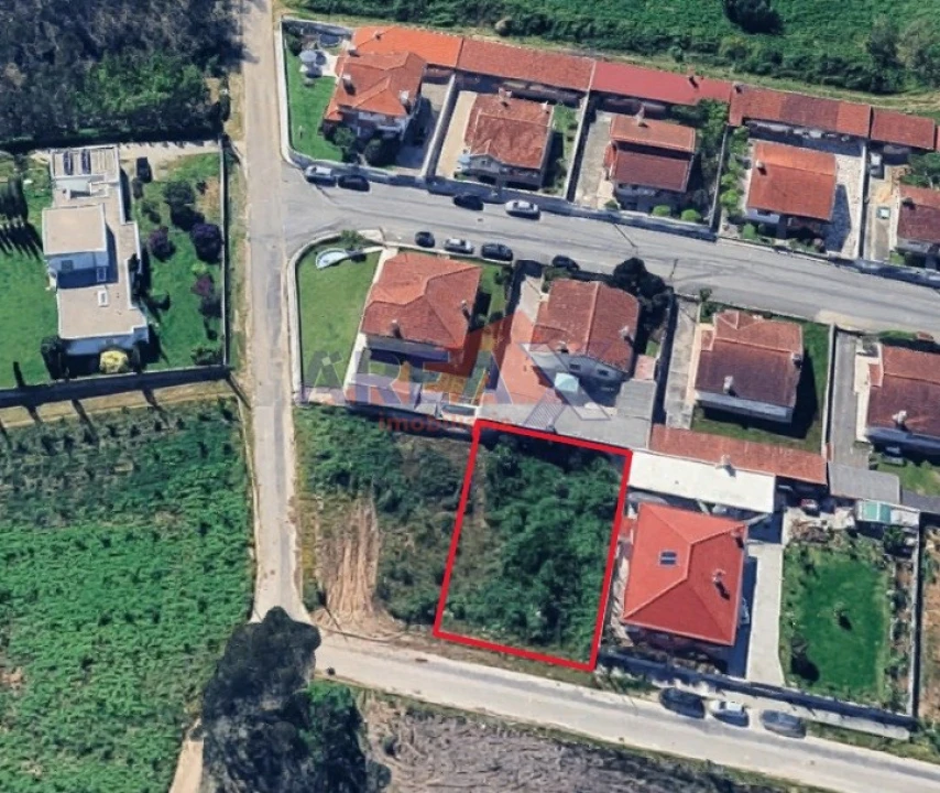 Terreno para Venda em Pinheiro da Bemposta, Travanca e Palmaz Foto 6