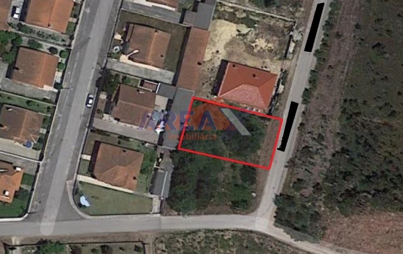 Terreno para Venda em Pinheiro da Bemposta, Travanca e Palmaz Foto 7