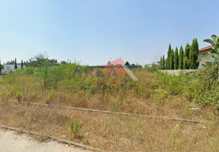 Terreno para Venda em Pinheiro da Bemposta, Travanca e Palmaz Foto 5