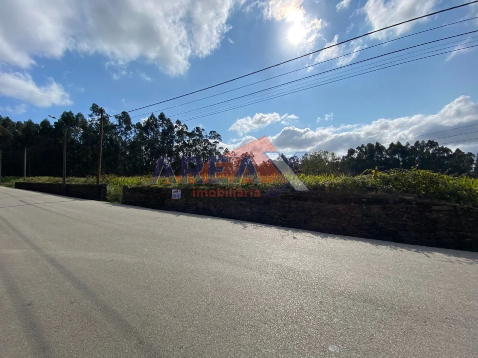 Terreno Comércio / Armazém para Venda em Loureiro Foto 5