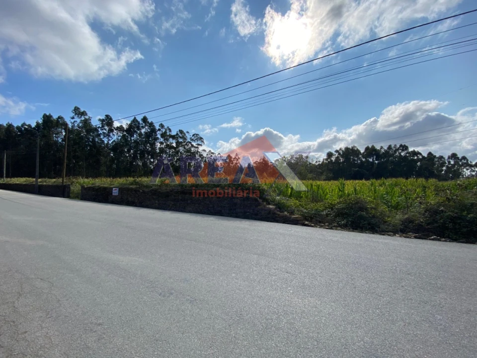 Terreno Comércio / Armazém para Venda em Loureiro Foto 8