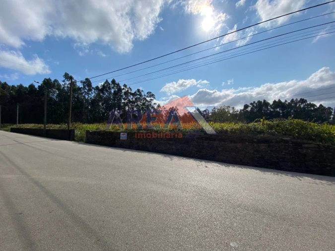 Terreno Comércio / Armazém para Venda em Loureiro Foto 5