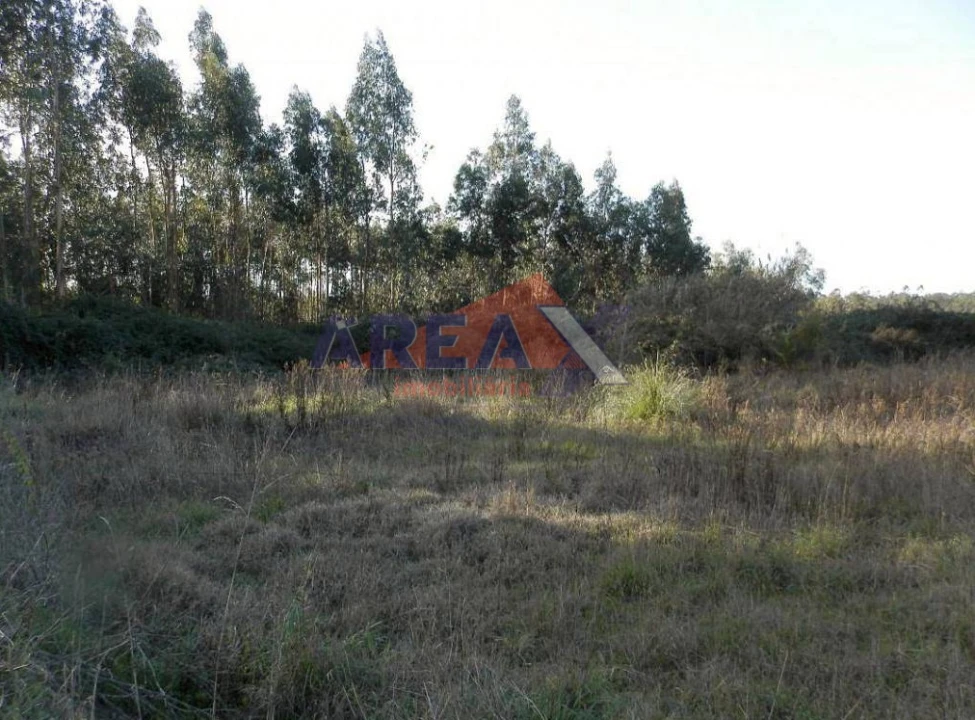 Terreno Agricola ou Rústico para Venda em Pinheiro da Bemposta, Travanca e Palmaz Foto 2