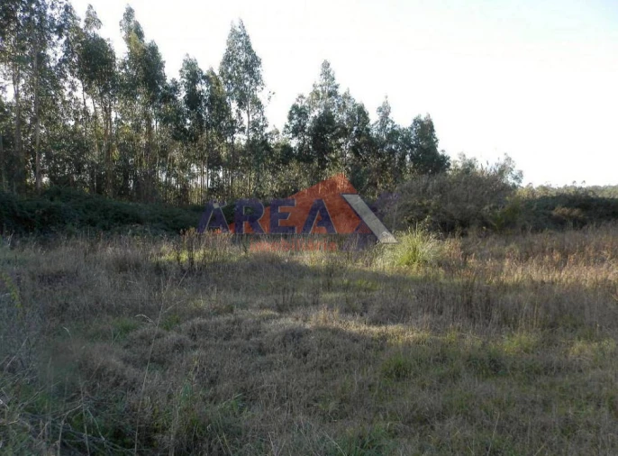 Terreno Agricola ou Rústico para Venda em Pinheiro da Bemposta, Travanca e Palmaz Foto 2