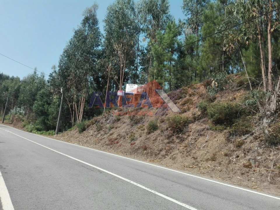 Terreno para Venda em Pinheiro da Bemposta, Travanca e Palmaz Foto 2