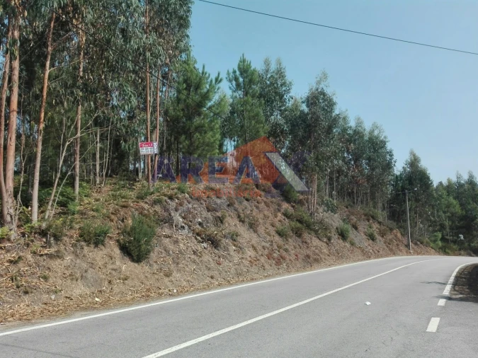 Terreno para Venda em Pinheiro da Bemposta, Travanca e Palmaz Foto 1