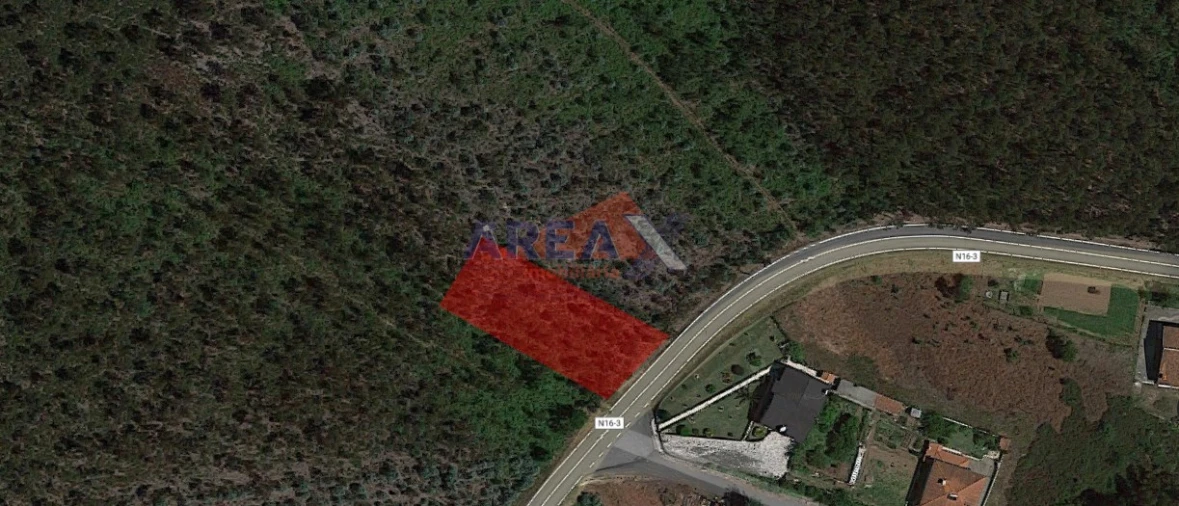 Terreno para Venda em Pinheiro da Bemposta, Travanca e Palmaz Foto 3