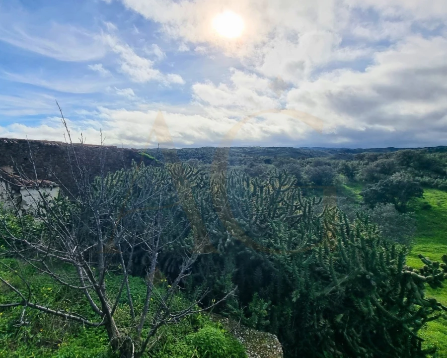 Moradia T1 para Venda em Altura Foto 30