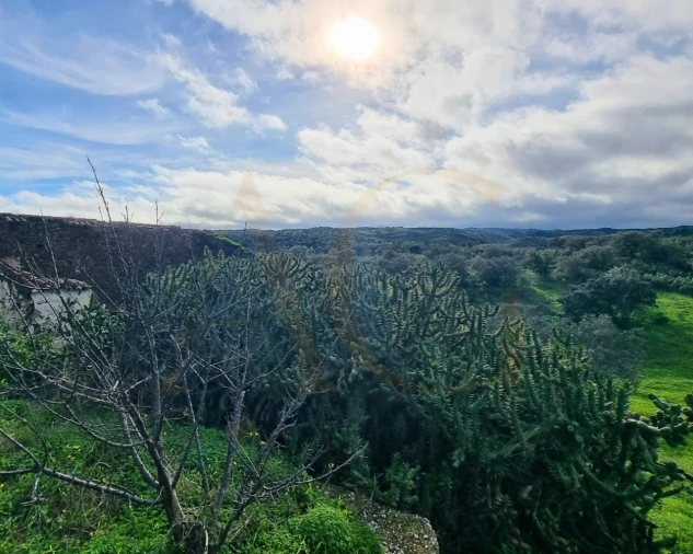 Moradia T1 para Venda em Altura Foto 30