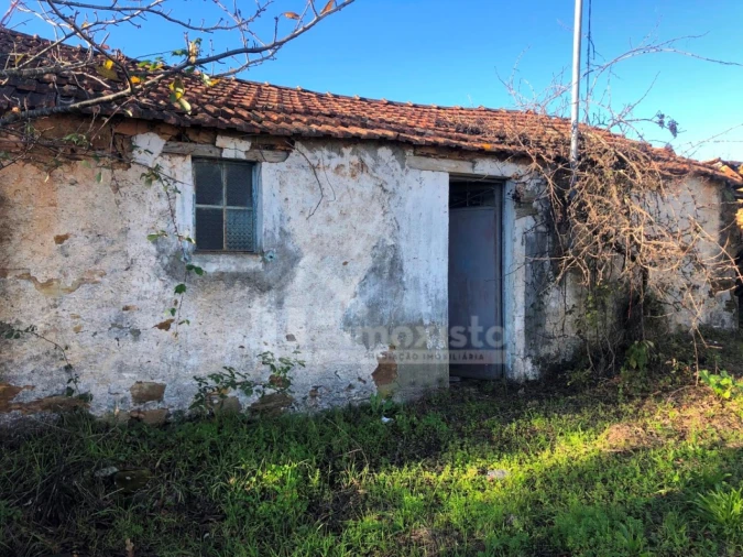 Quinta T3 para Venda em Graça Foto 6