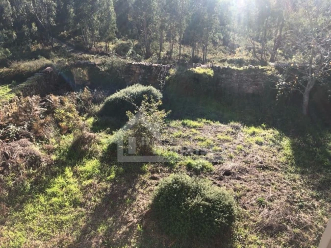 Quinta T3 para Venda em Graça Foto 8