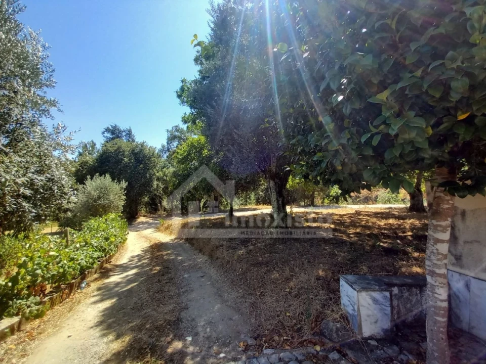 Moradia T4 para Venda em Figueiró dos Vinhos e Bairradas Foto 24