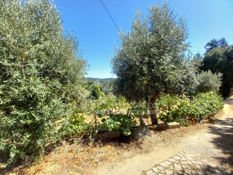 Moradia T4 para Venda em Figueiró dos Vinhos e Bairradas Foto 28