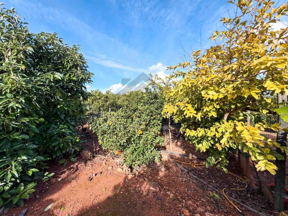 Quinta T3 para Venda em Silves Foto 21