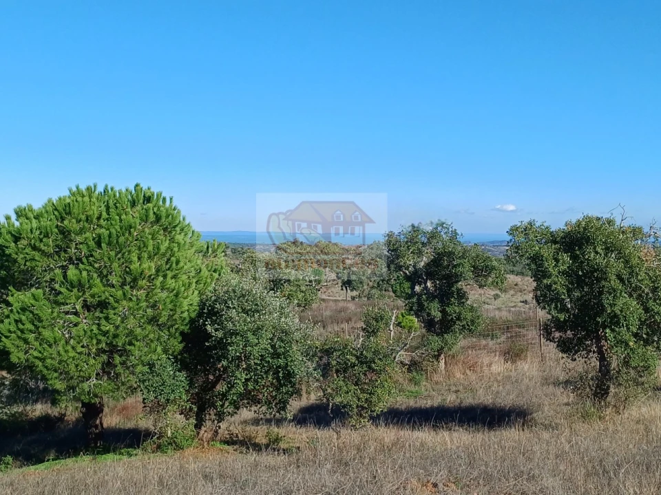 Terreno Misto para Venda em São Francisco da Serra Foto 11