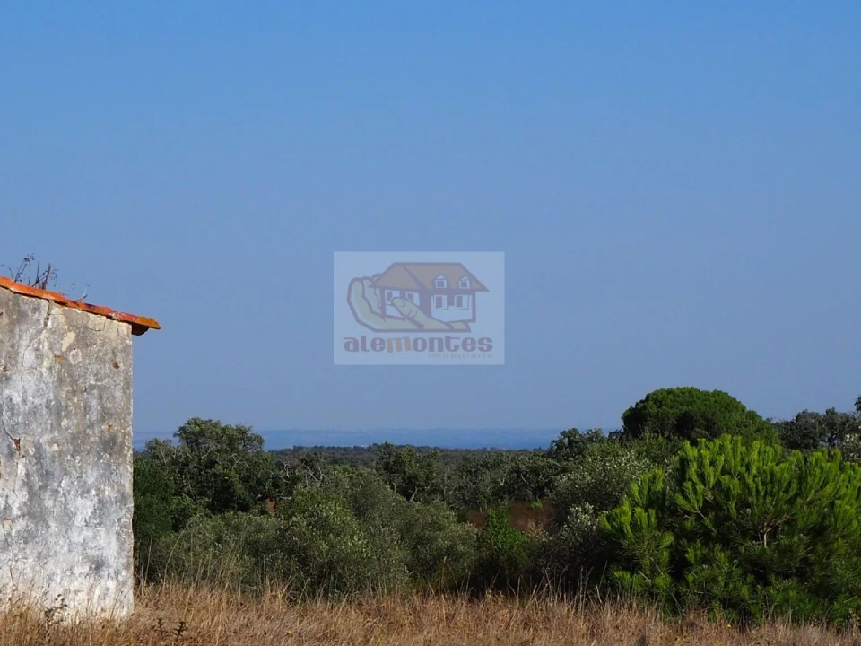 Terreno Misto para Venda em São Francisco da Serra Foto 12