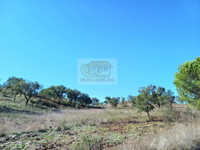 Terreno Misto para Venda em São Francisco da Serra Foto 5