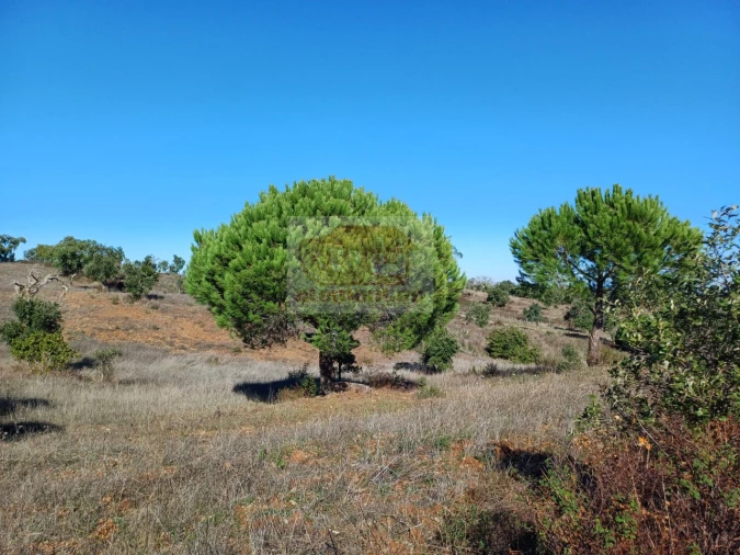 Terreno Misto para Venda em São Francisco da Serra Foto 10