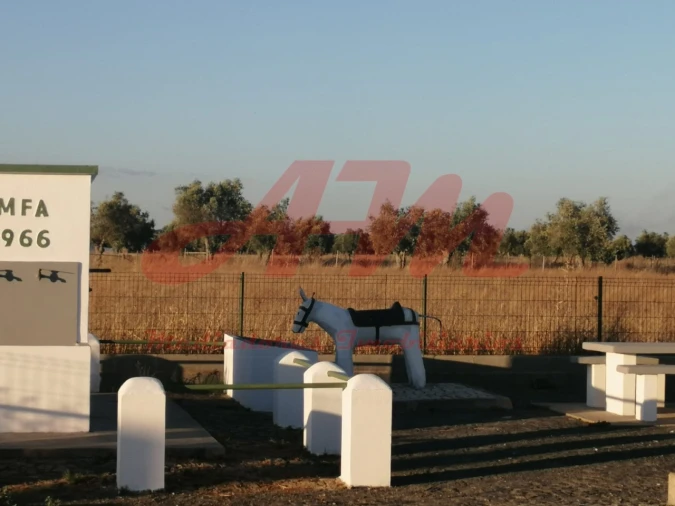 Apartamento T2 para Venda em Ferreira do Alentejo e Canhestros Foto 10