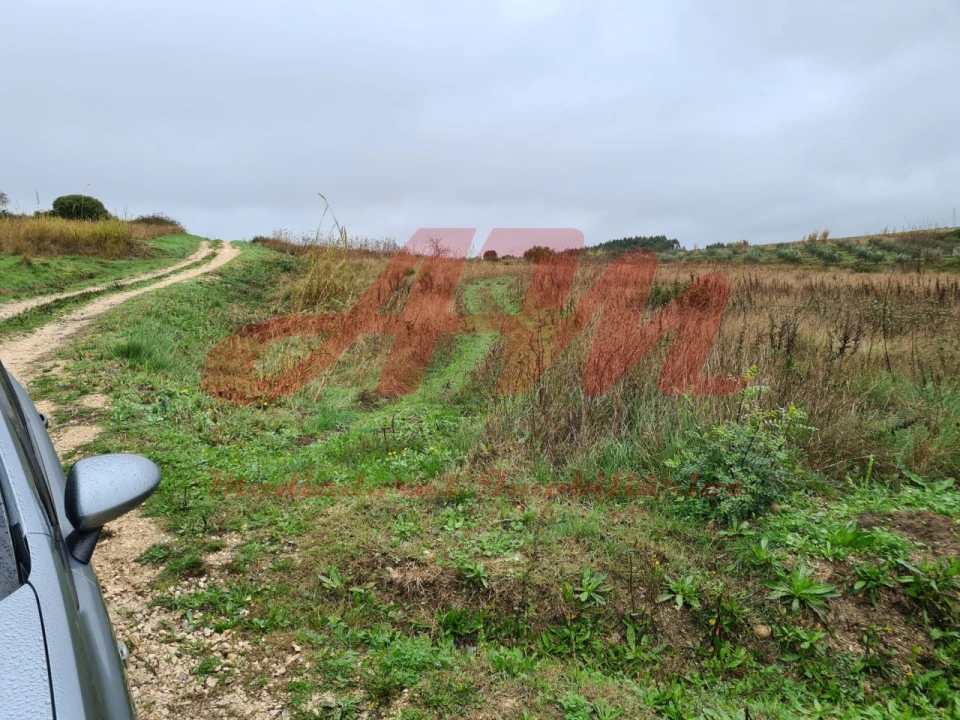 Terreno Agricola ou Rústico para Venda em Lamas e Cercal Foto 6