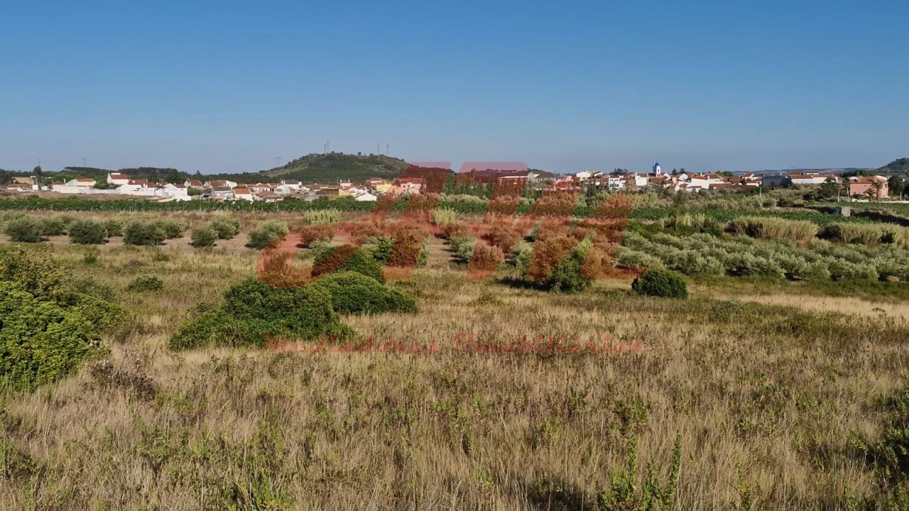 Terreno Agricola ou Rústico para Venda em Lamas e Cercal Foto 2
