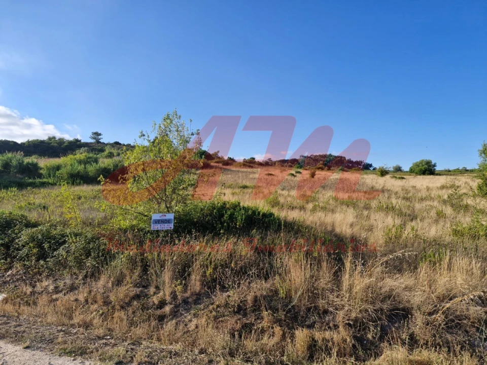 Terreno Agricola ou Rústico para Venda em Lamas e Cercal Foto 17