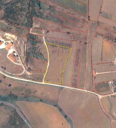 Terreno Agricola ou Rústico para Venda em Lamas e Cercal