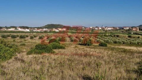 Terreno Agricola ou Rústico para Venda em Lamas e Cercal