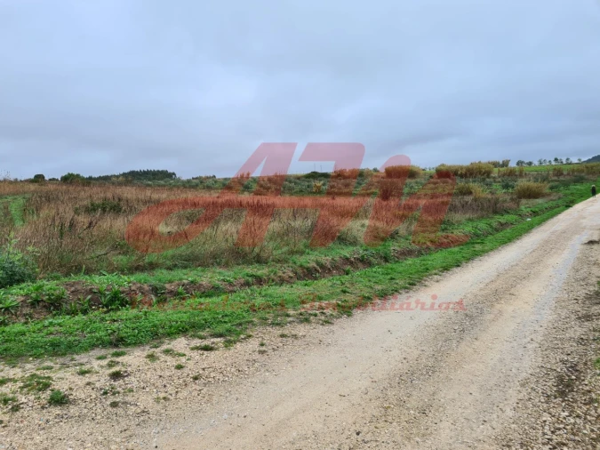 Terreno Agricola ou Rústico para Venda em Lamas e Cercal Foto 7