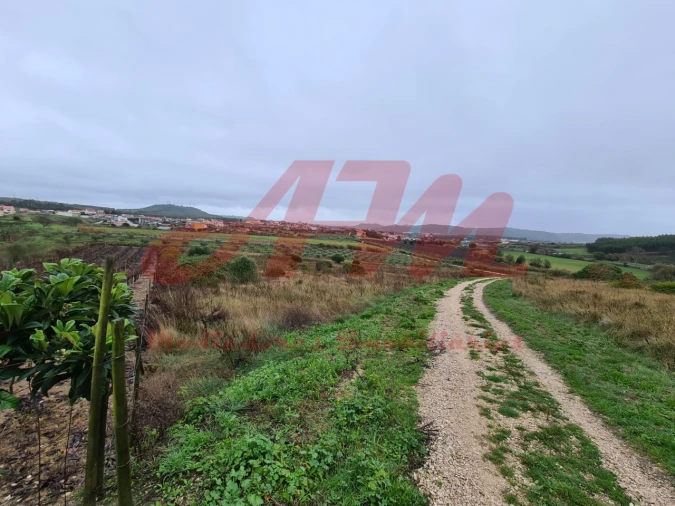 Terreno Agricola ou Rústico para Venda em Lamas e Cercal Foto 10