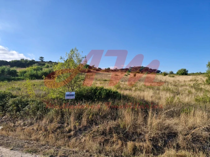 Terreno Agricola ou Rústico para Venda em Lamas e Cercal Foto 17