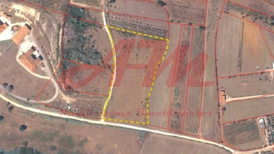 Terreno Agricola ou Rústico para Venda em Lamas e Cercal
