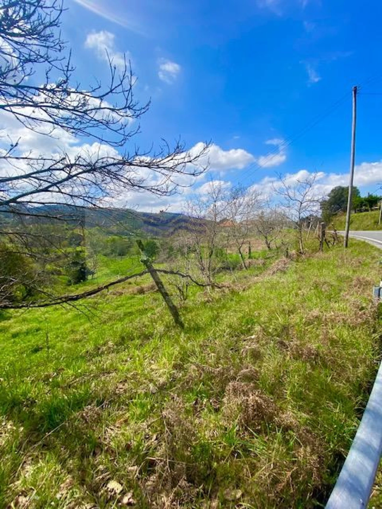 Terreno para Venda em Cedrim e Paradela Foto 8
