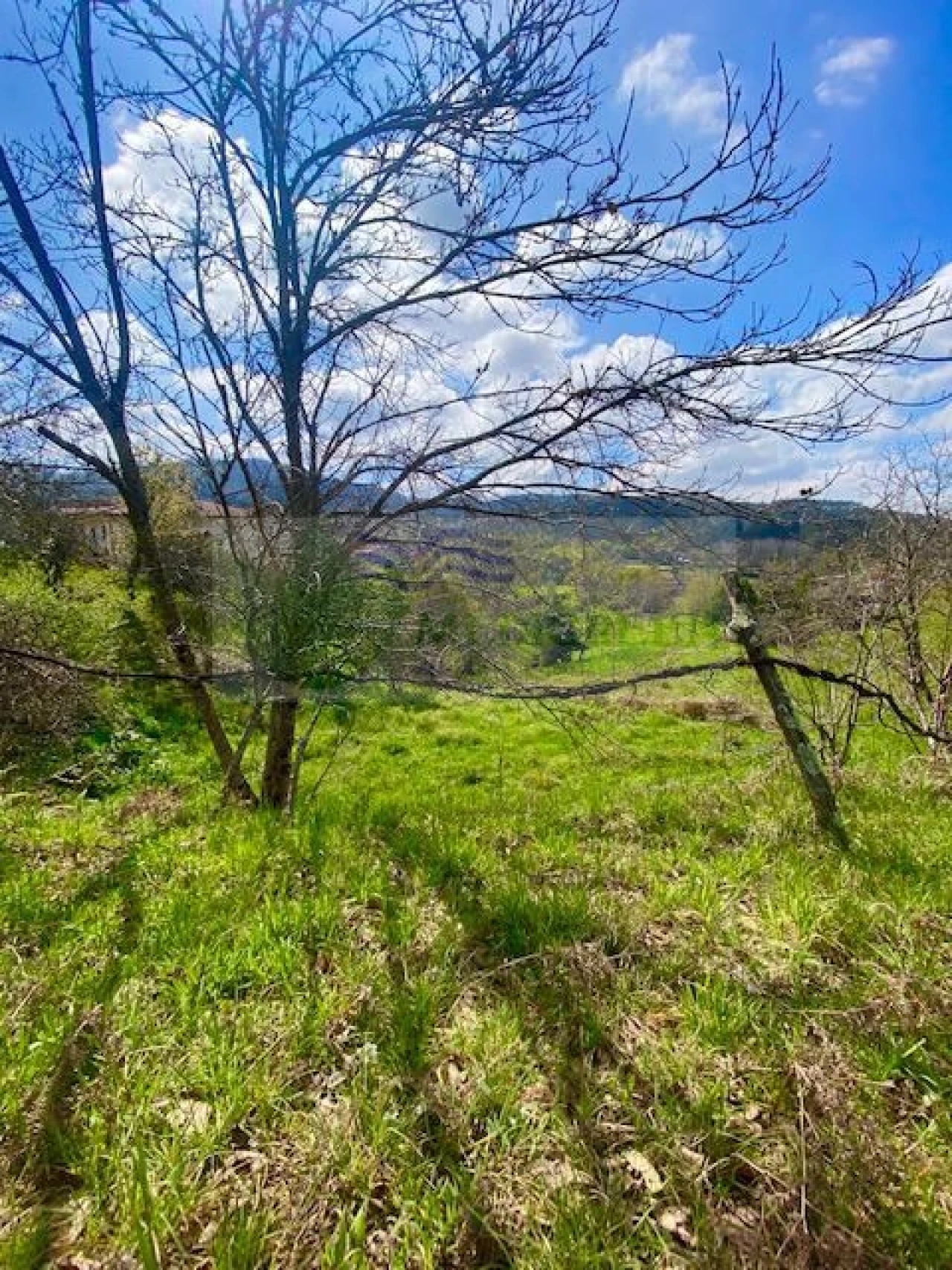 Terreno para Venda em Cedrim e Paradela Foto 9
