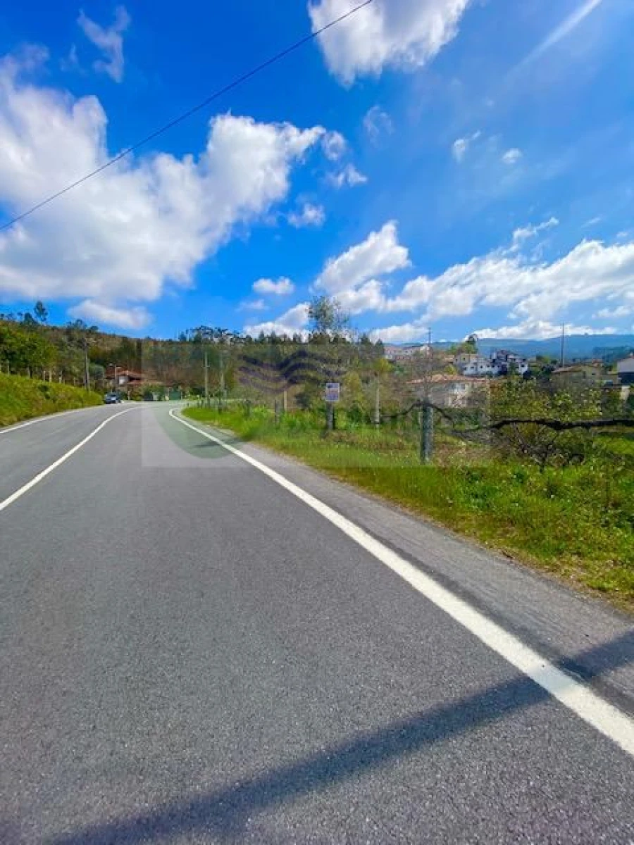 Terreno para Venda em Cedrim e Paradela Foto 11