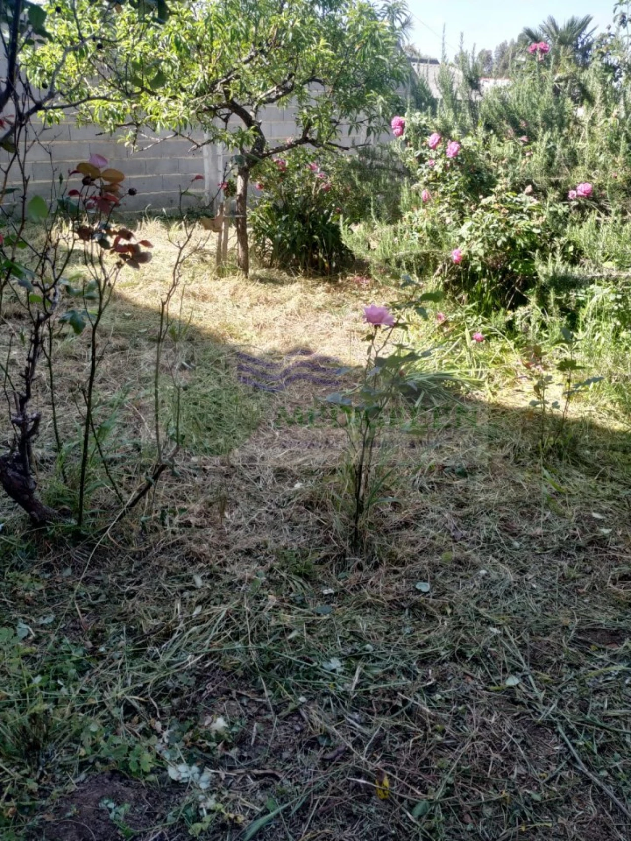 Moradia T3 para Venda em Albergaria-A-Velha e Valmaior Foto 25