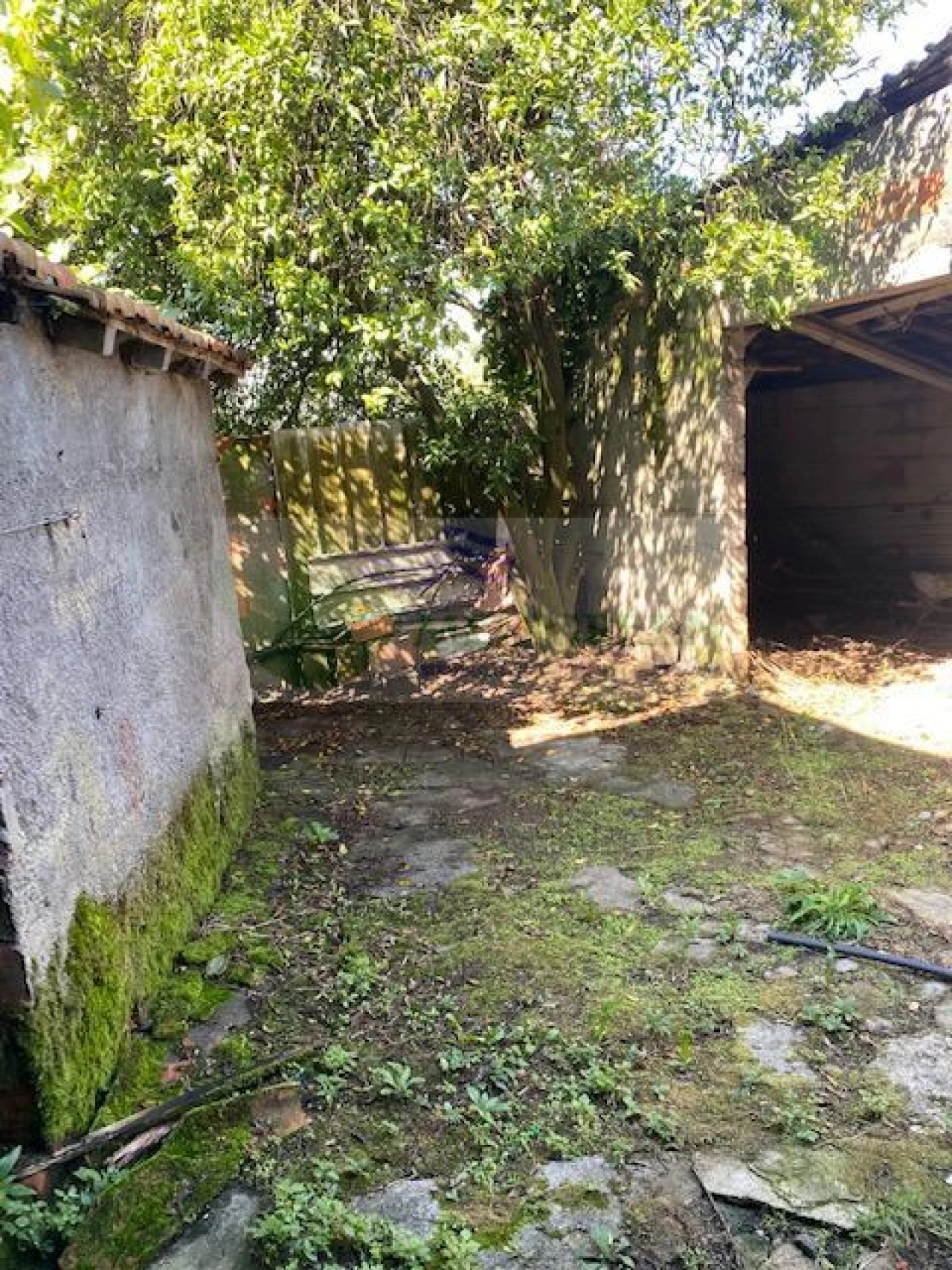 Moradia T3 para Venda em Cedrim e Paradela Foto 15