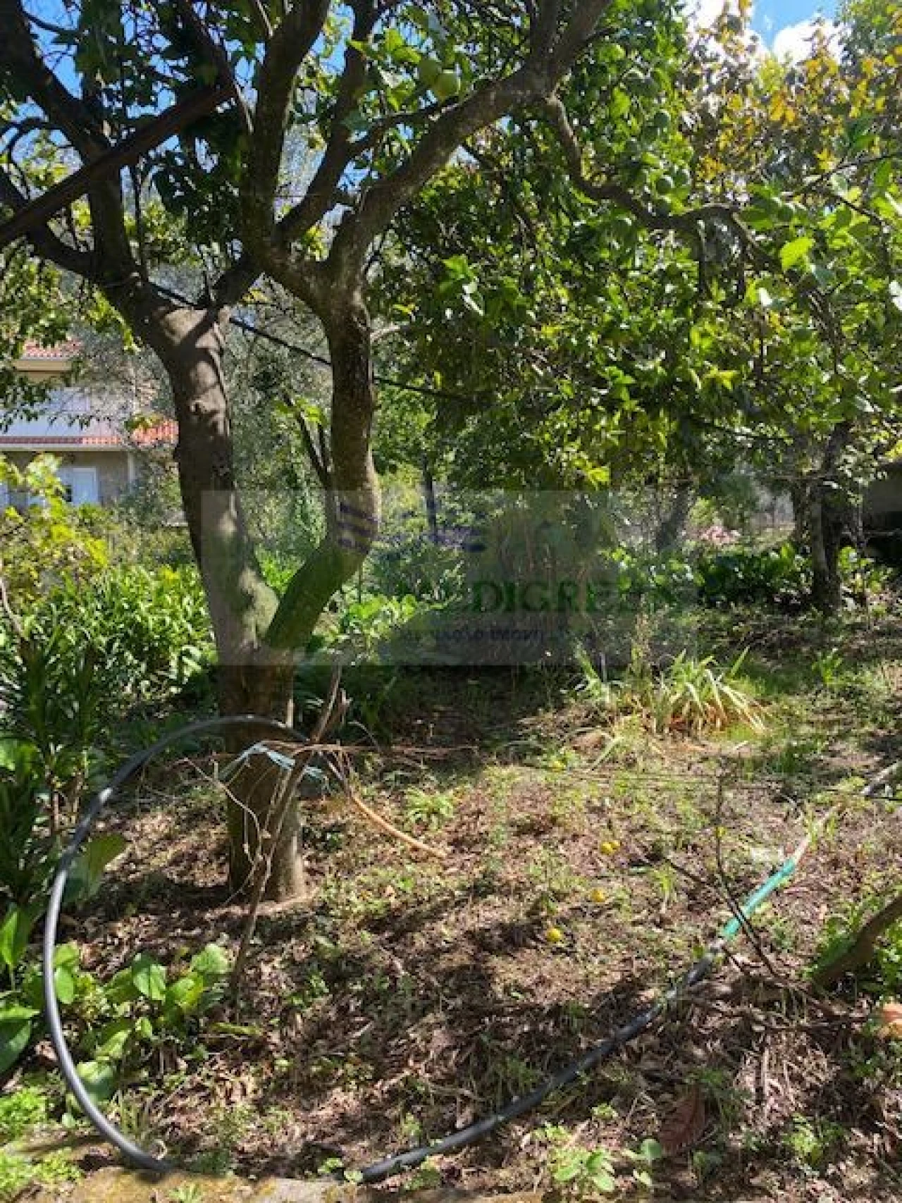 Moradia T3 para Venda em Cedrim e Paradela Foto 16