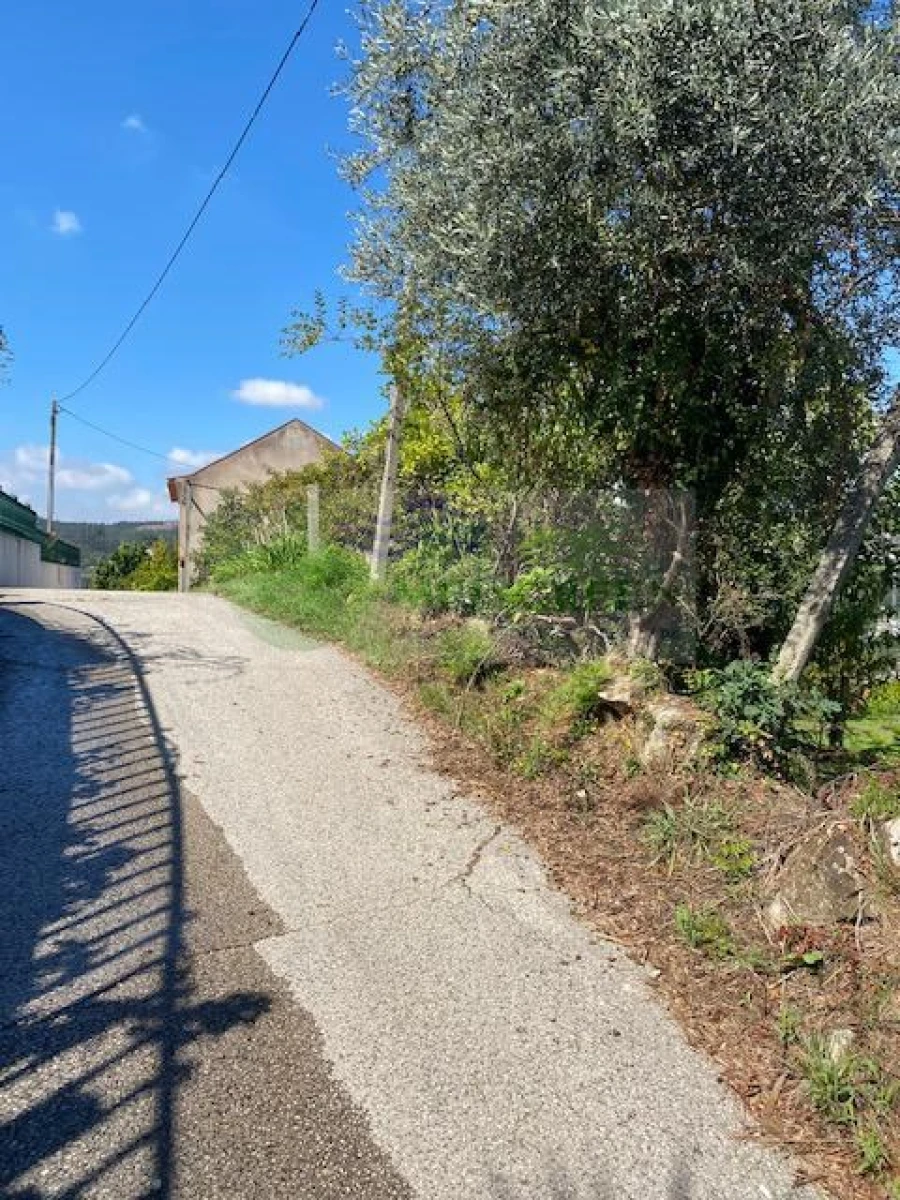 Moradia T3 para Venda em Cedrim e Paradela Foto 12