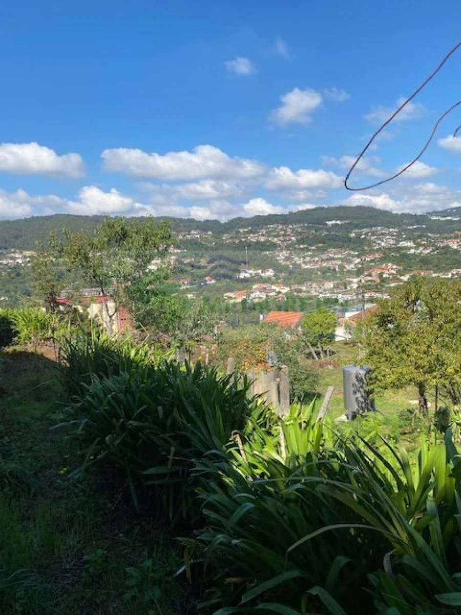 Moradia T3 para Venda em Cedrim e Paradela Foto 18