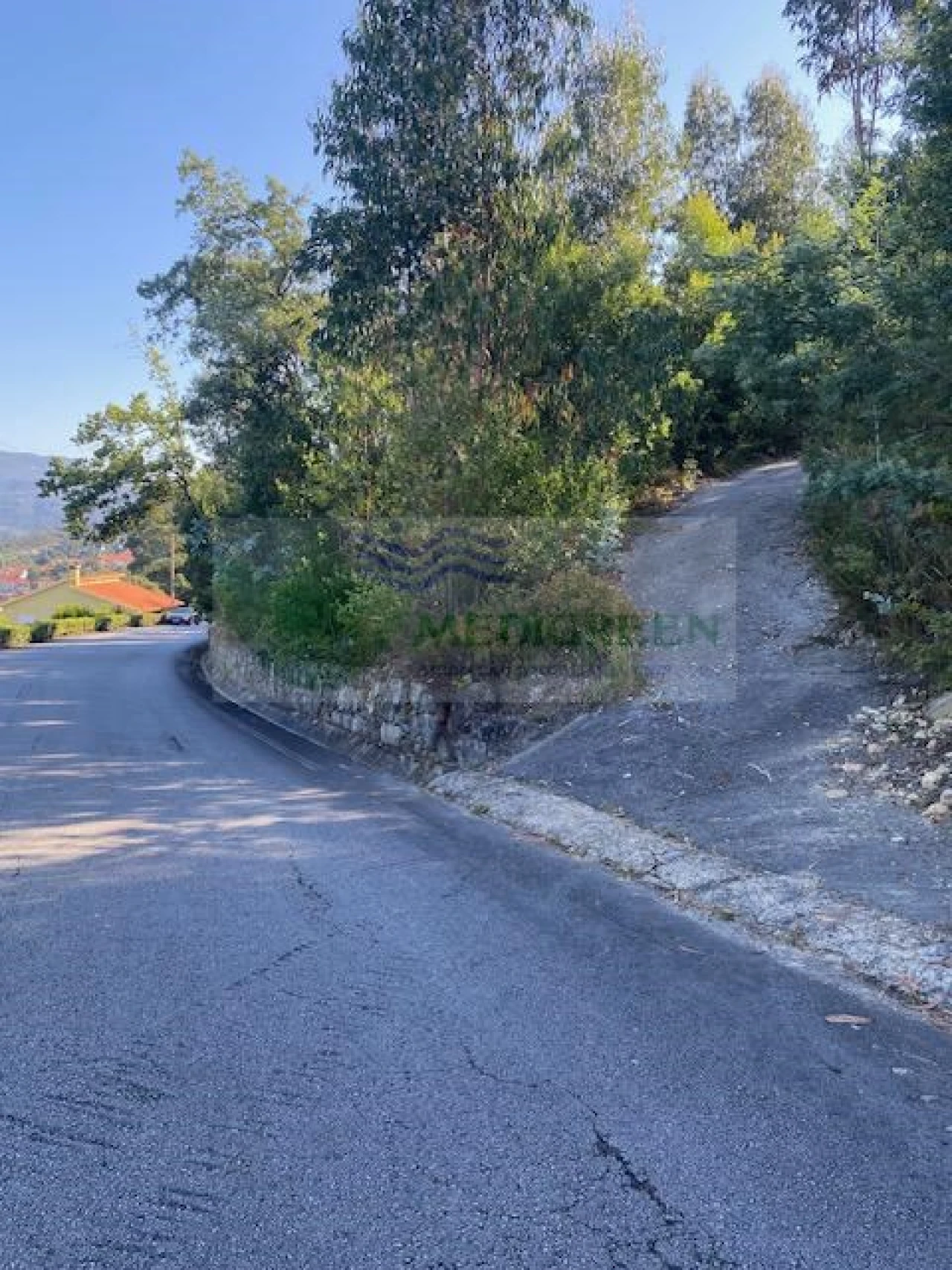 Terreno para Venda em Cedrim e Paradela Foto 4