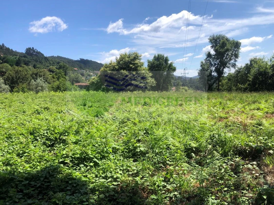 Terreno para Venda em Cedrim e Paradela Foto 12