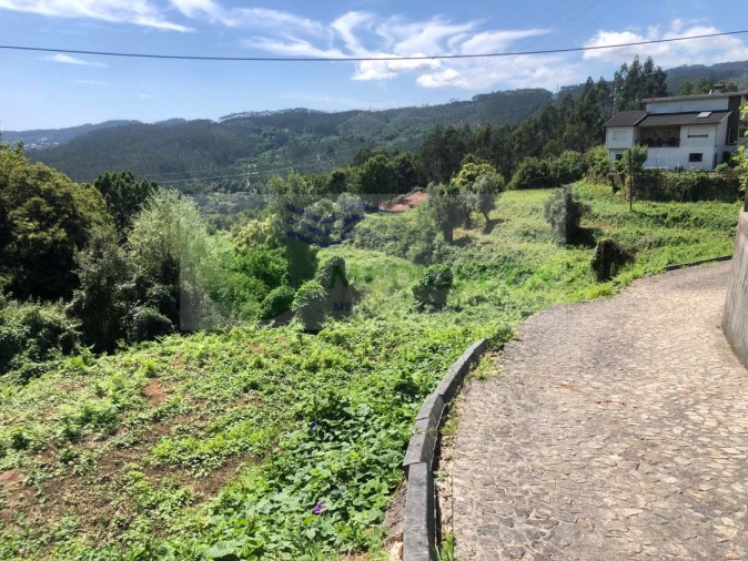 Terreno para Venda em Cedrim e Paradela Foto 4