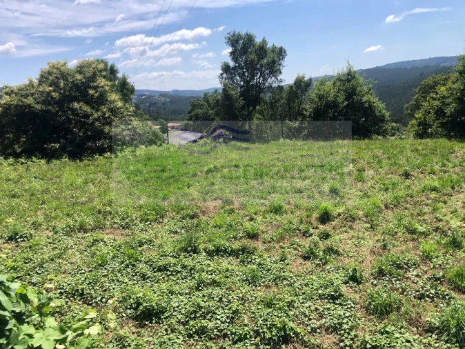 Terreno para Venda em Cedrim e Paradela Foto 8