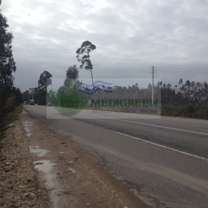 Terreno para Venda em Águeda e Borralha Foto 2