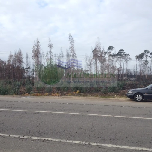 Terreno para Venda em Águeda e Borralha Foto 3