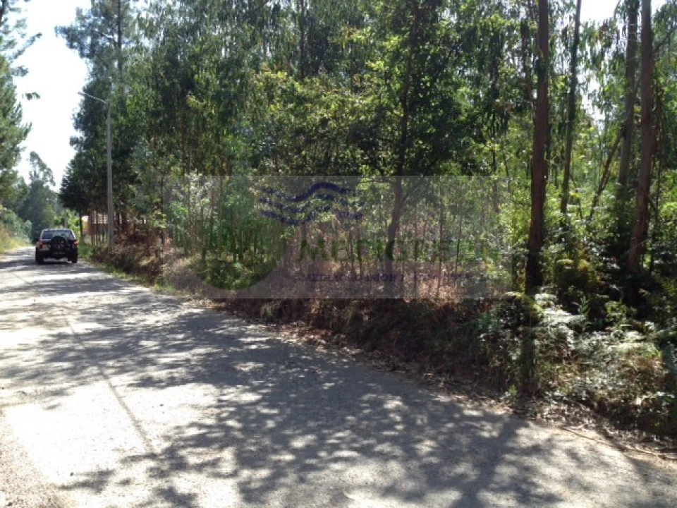 Terreno para Venda em Valongo do Vouga Foto 8